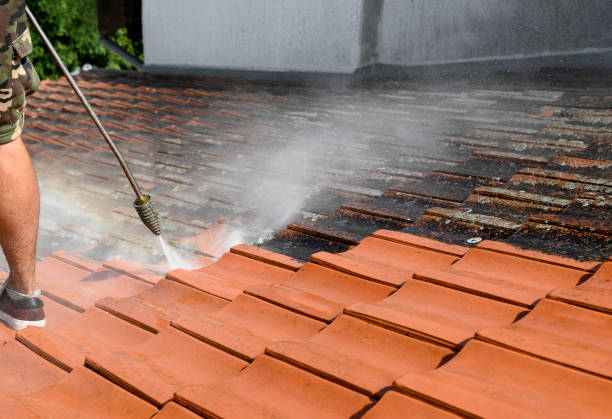 Best Best Pressure Washing Companies  in La Grande, OR